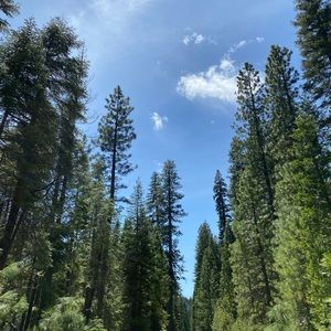 Meet your Posher, Yaneli